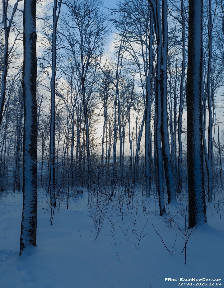72198PeCrLe - Walking through the woods on a snowy morning